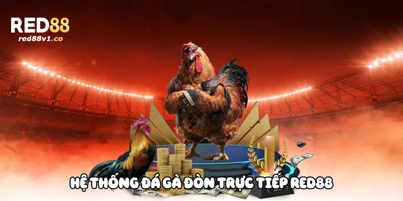 Hệ thống đá gà đòn trực tiếp Red88